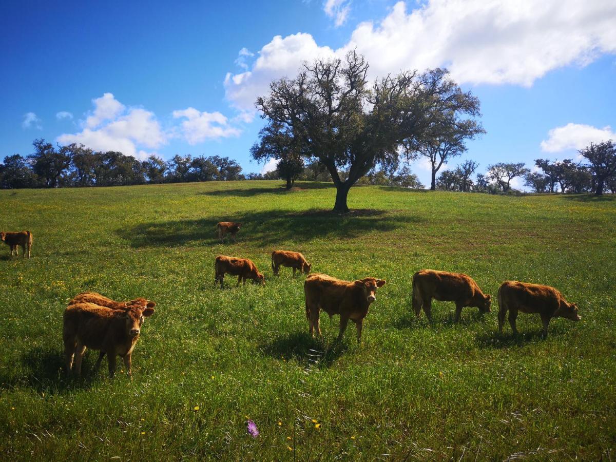 Willa Monte Bandarro Novo, Country House Cercal do Alentejo Zewnętrze zdjęcie